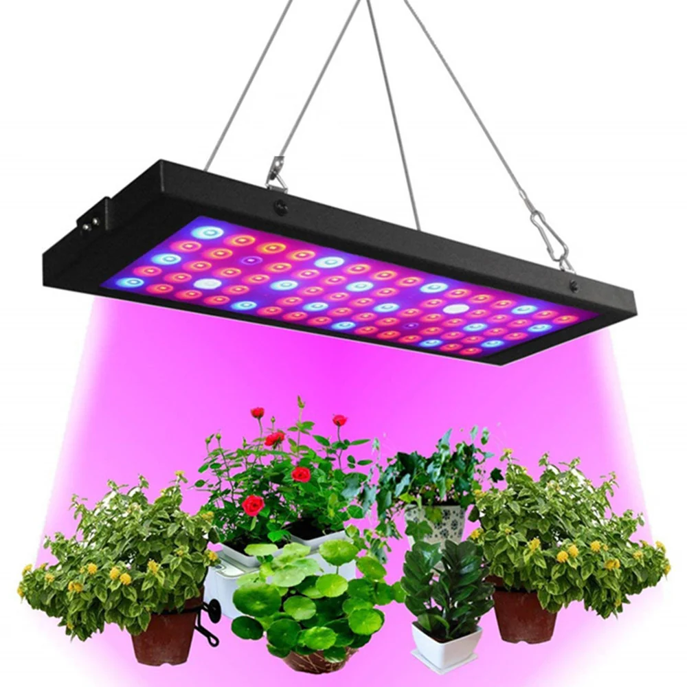 Indoor Growing