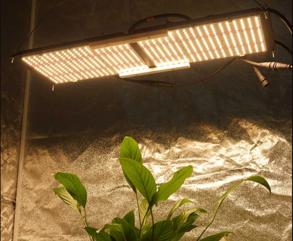 Home Grow Lights