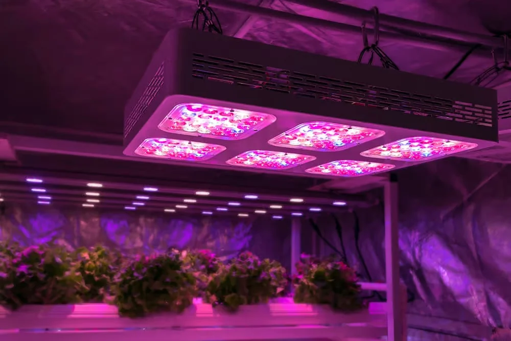 Quantum Board LED Grow Lights
