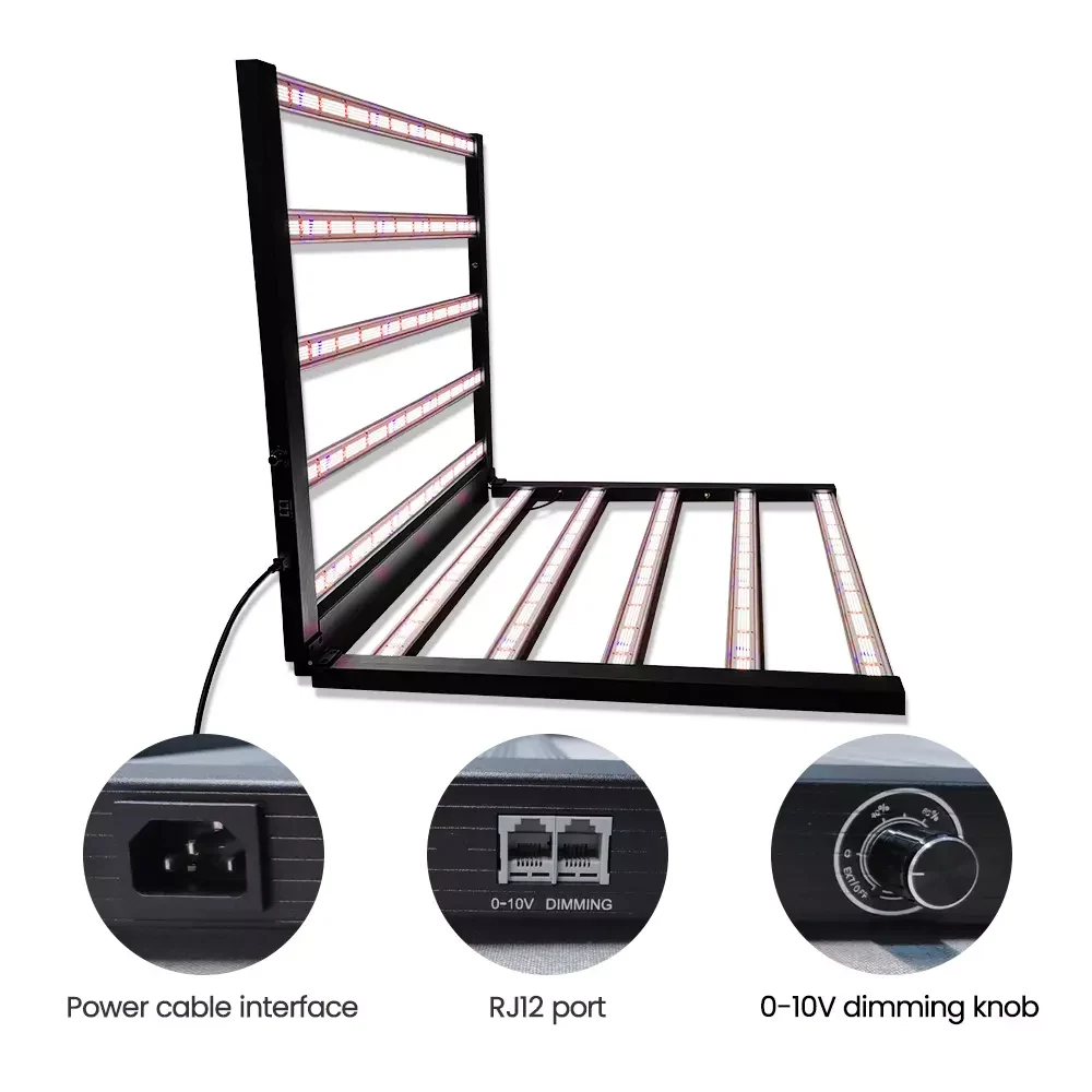 Commercial Project Lighting Design