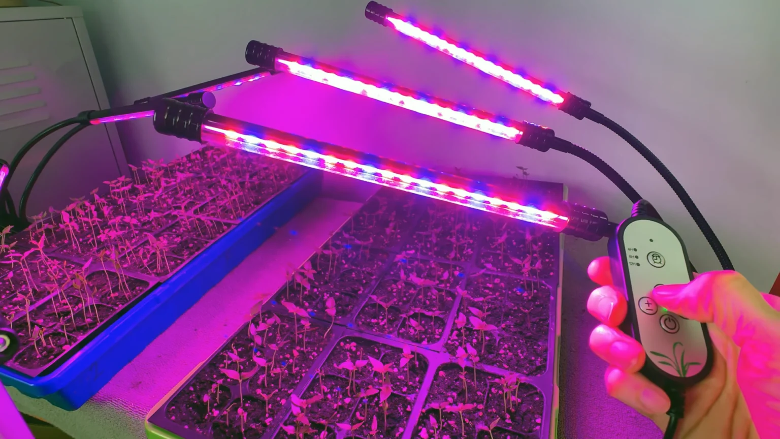 LED Grow Light Factory