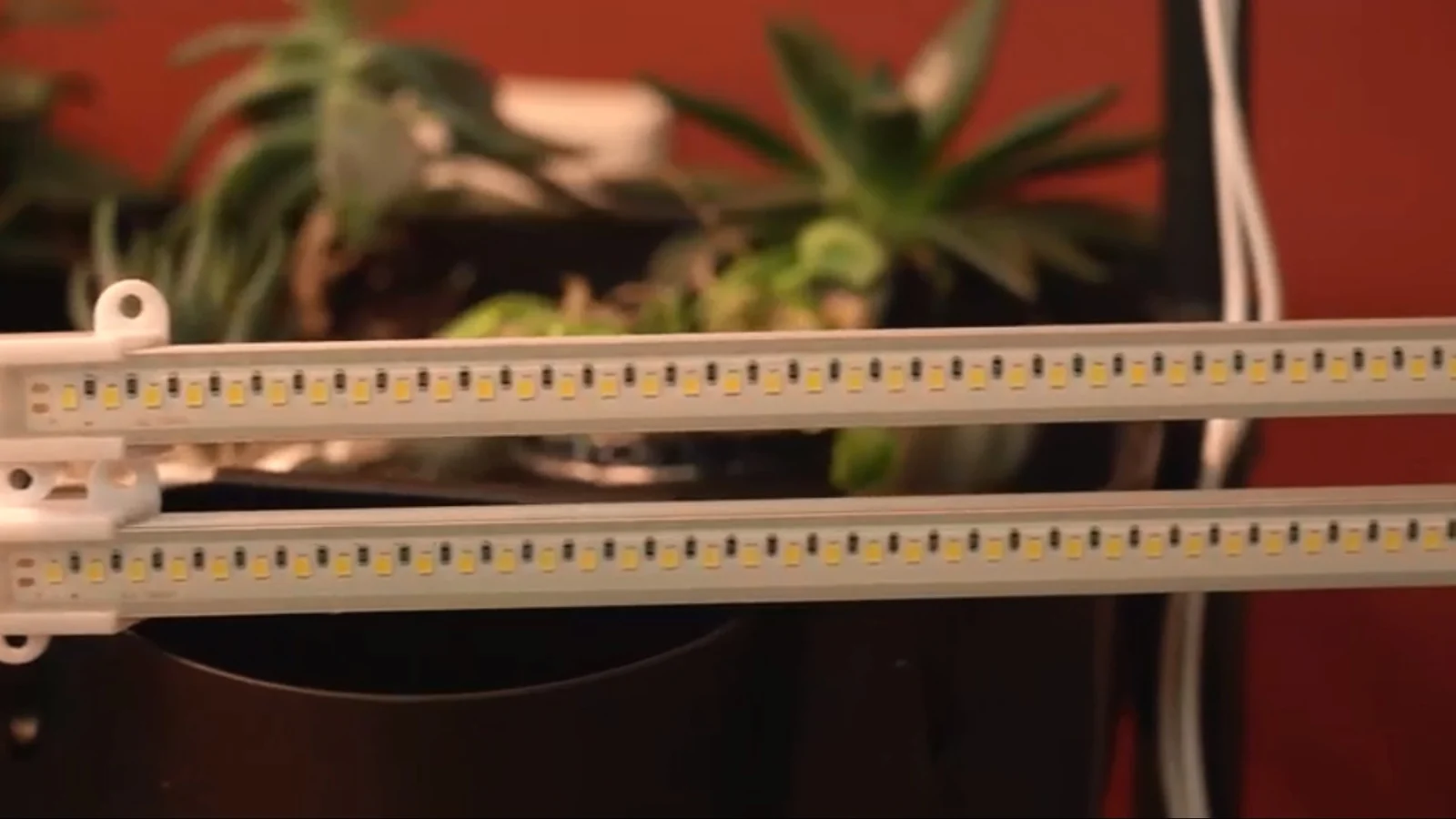 LED植物灯批发