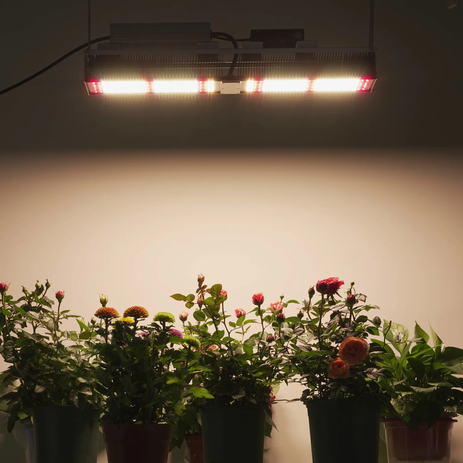 全光谱 Grow Lights Benefits